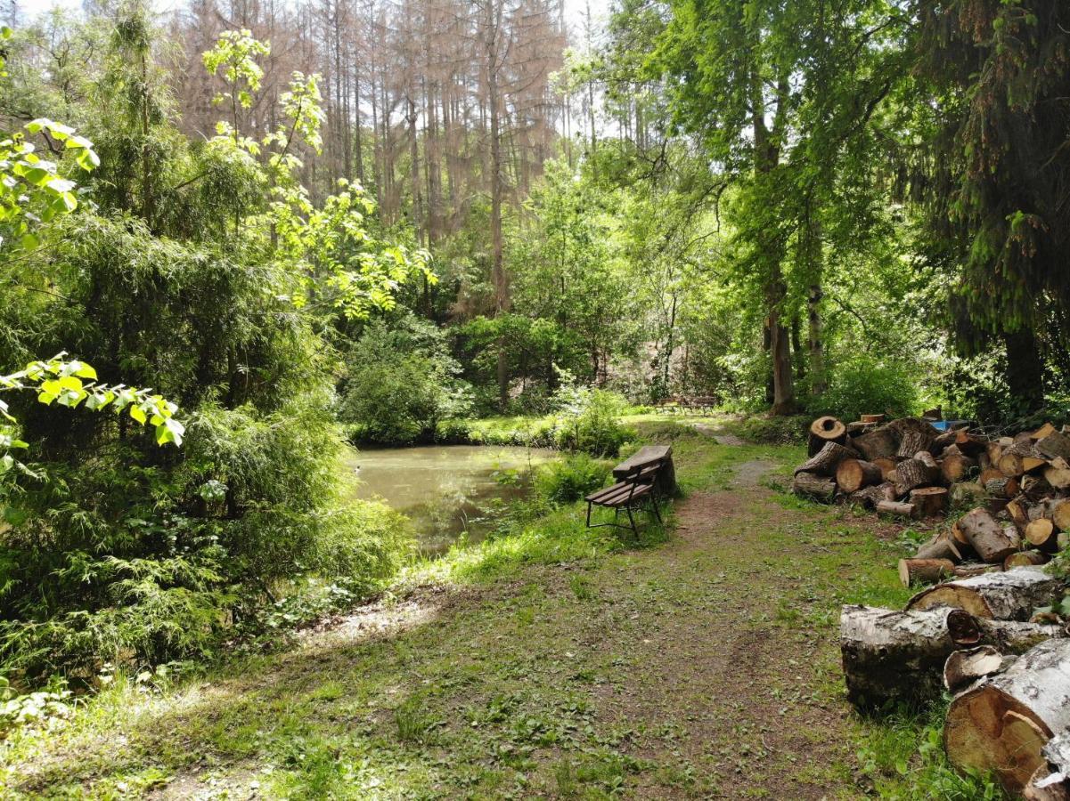 Zur Margarethenmuehle - Landgasthof Und Waldhotel Rosswein Eksteriør billede