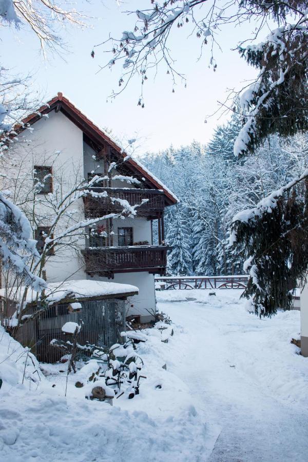 Zur Margarethenmuehle - Landgasthof Und Waldhotel Rosswein Eksteriør billede