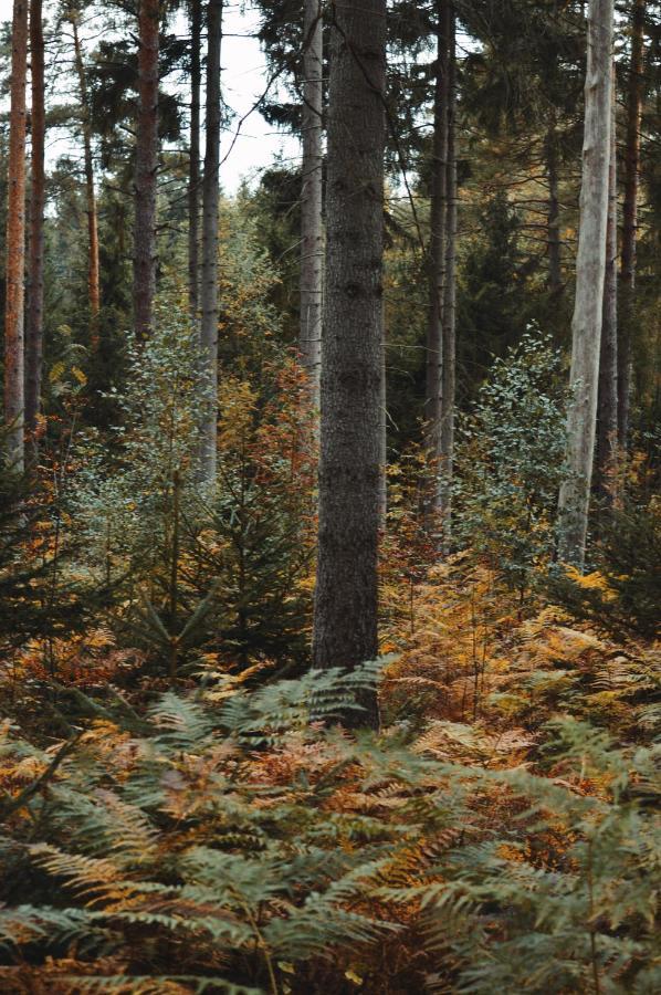 Zur Margarethenmuehle - Landgasthof Und Waldhotel Rosswein Eksteriør billede